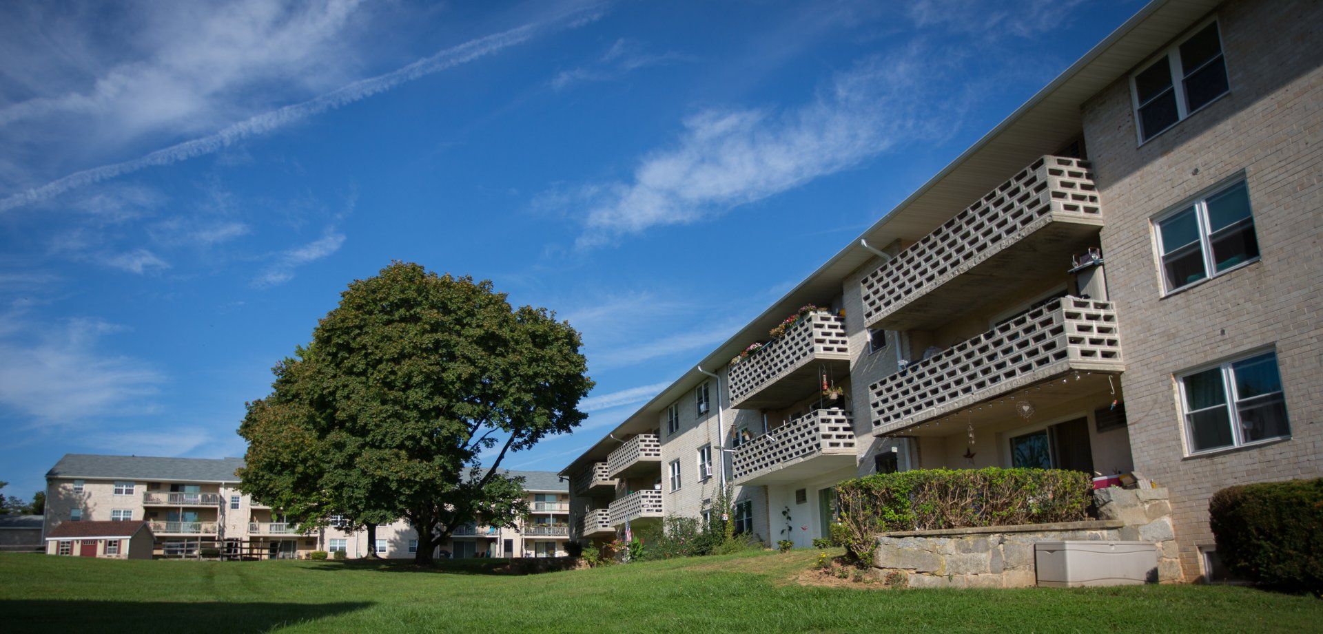 Juniper Hill Images