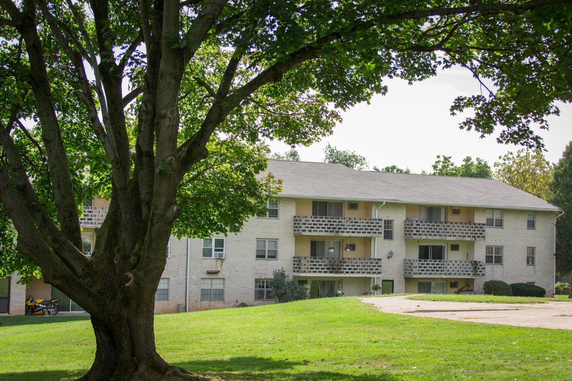 Juniper Hill Images