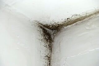 Water and Mold Damage - Restoration Company in Glassboro, NJ