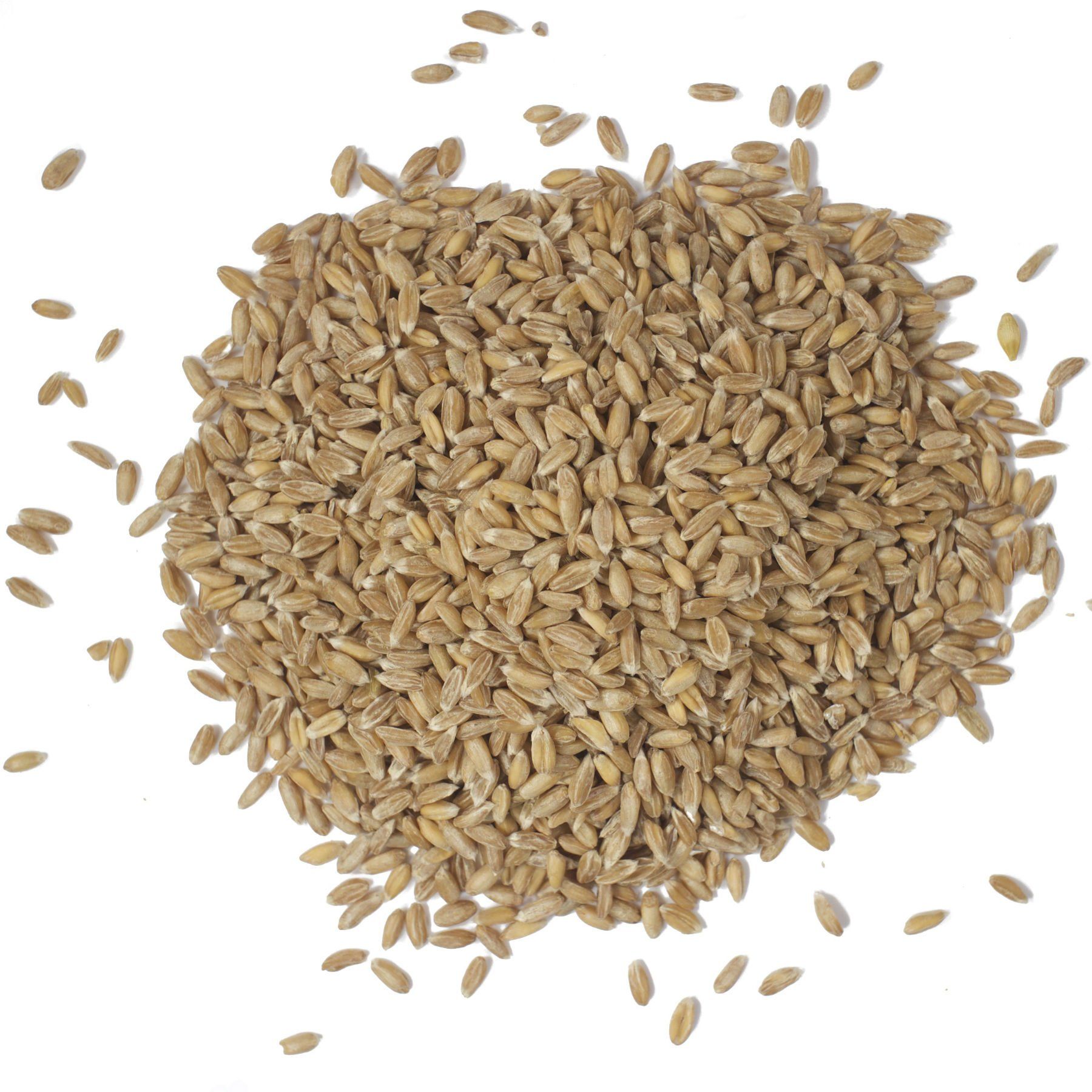 farro