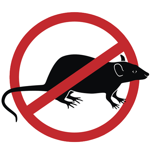 Derattizzazione