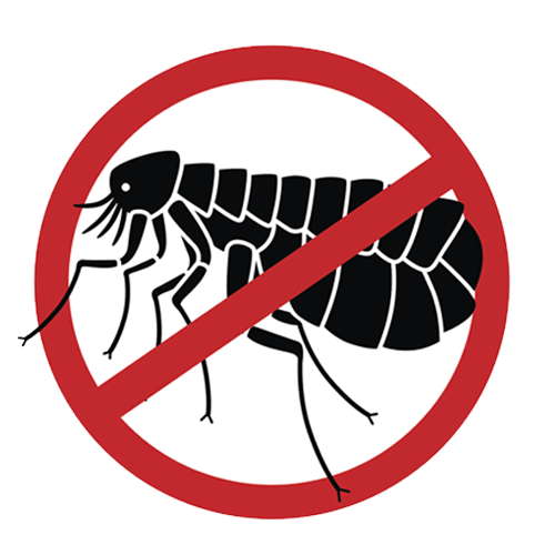 Disinfestazione