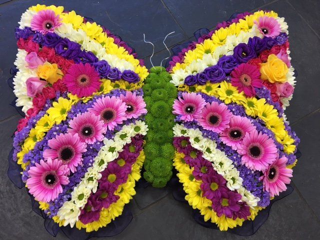 Large Butterfly