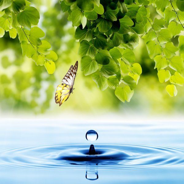 Een vlinder vliegt over een druppel water. Wateropbaring. Overleden baby's.