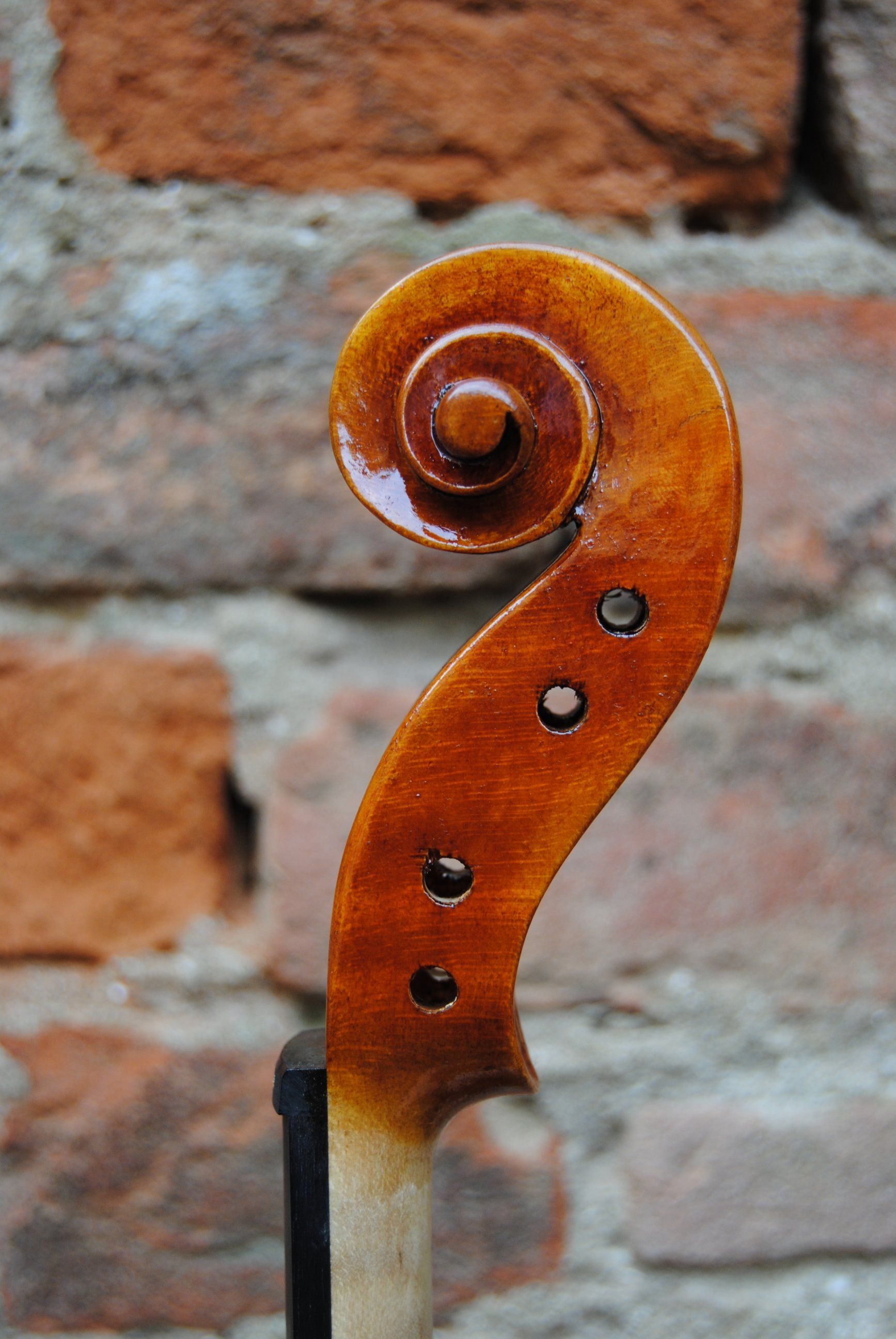 Violino Guarneri Ole Bull minjeong kang