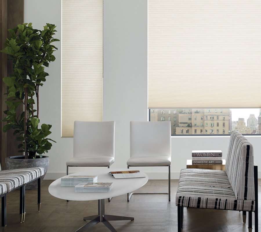 Sitting room with honeycomb shades