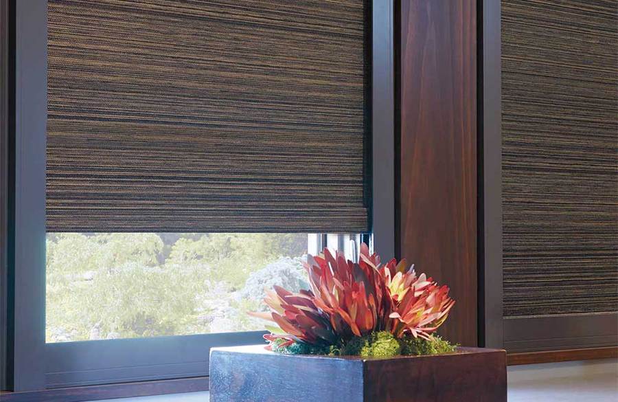 Window in Kent, WA with HD designer roller shades
