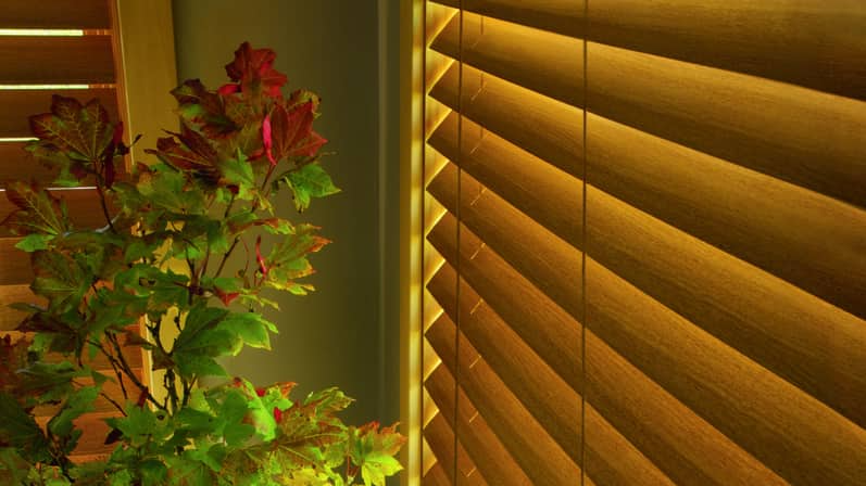 Custom wooden blinds blocking out the summer sun