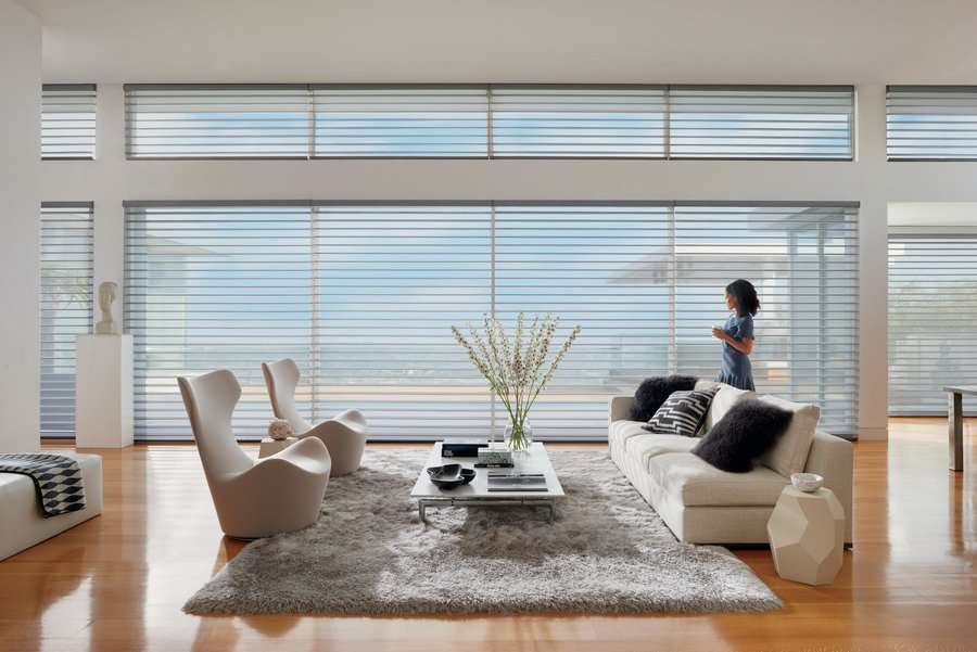 Woman in a living room in Bellevue, WA with Silhouette shades