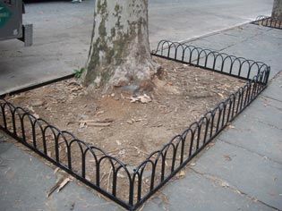 Iron railing around a tree - Vinnie's Italian Art Iron Works Inc in Brooklyn, NY Iron railing around a tree - Vinnie's Italian Art Iron Works Inc in Brooklyn, NY