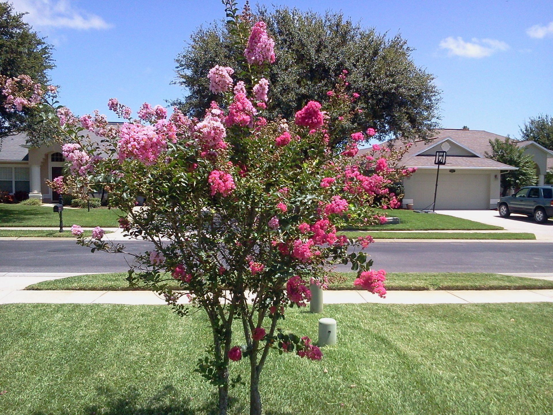 Lawn Treatment — Pest Control Worker Spraying Pesticide in Melbourne, FL