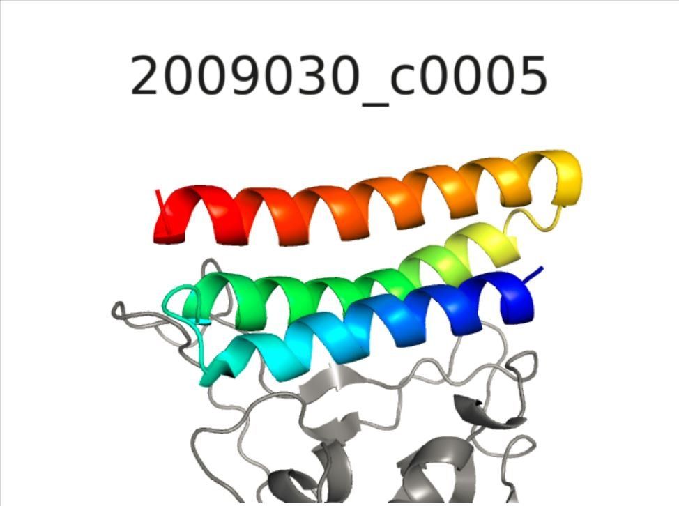 COVID-19 SARS-CoV-2 Coronavirus designerprotein designerproteïne cure