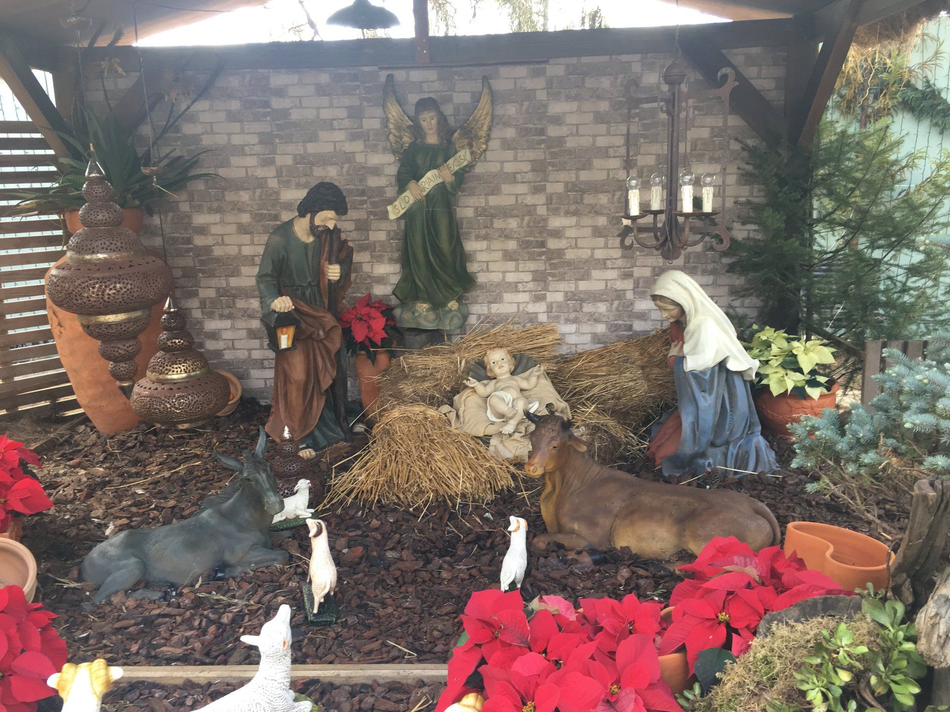 Weihnachten Madeira