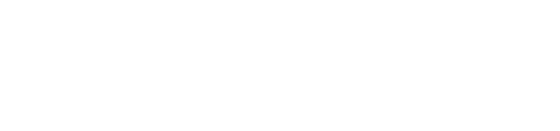 Town Square Village logo