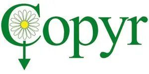 Copyr logo