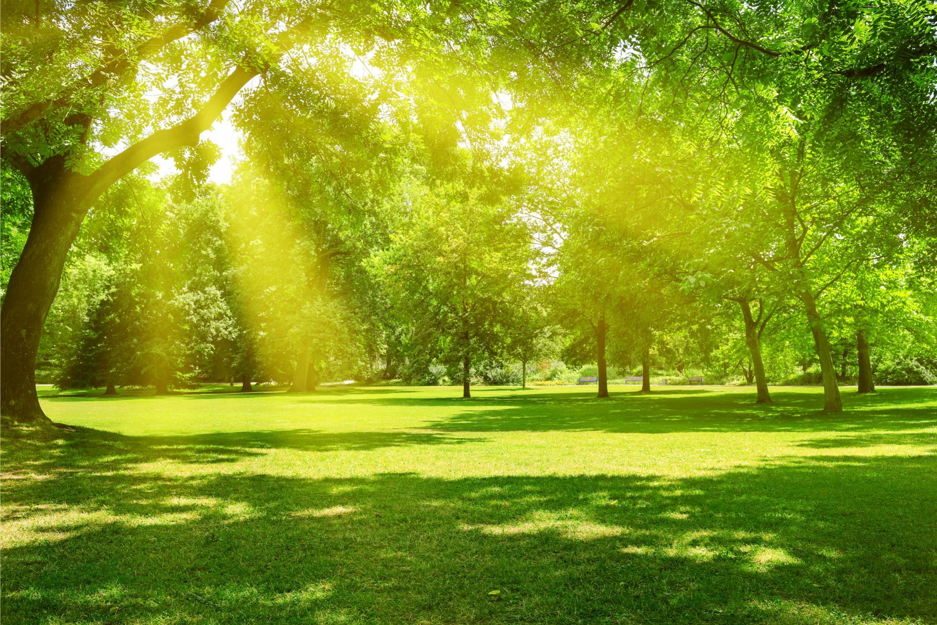 Parco