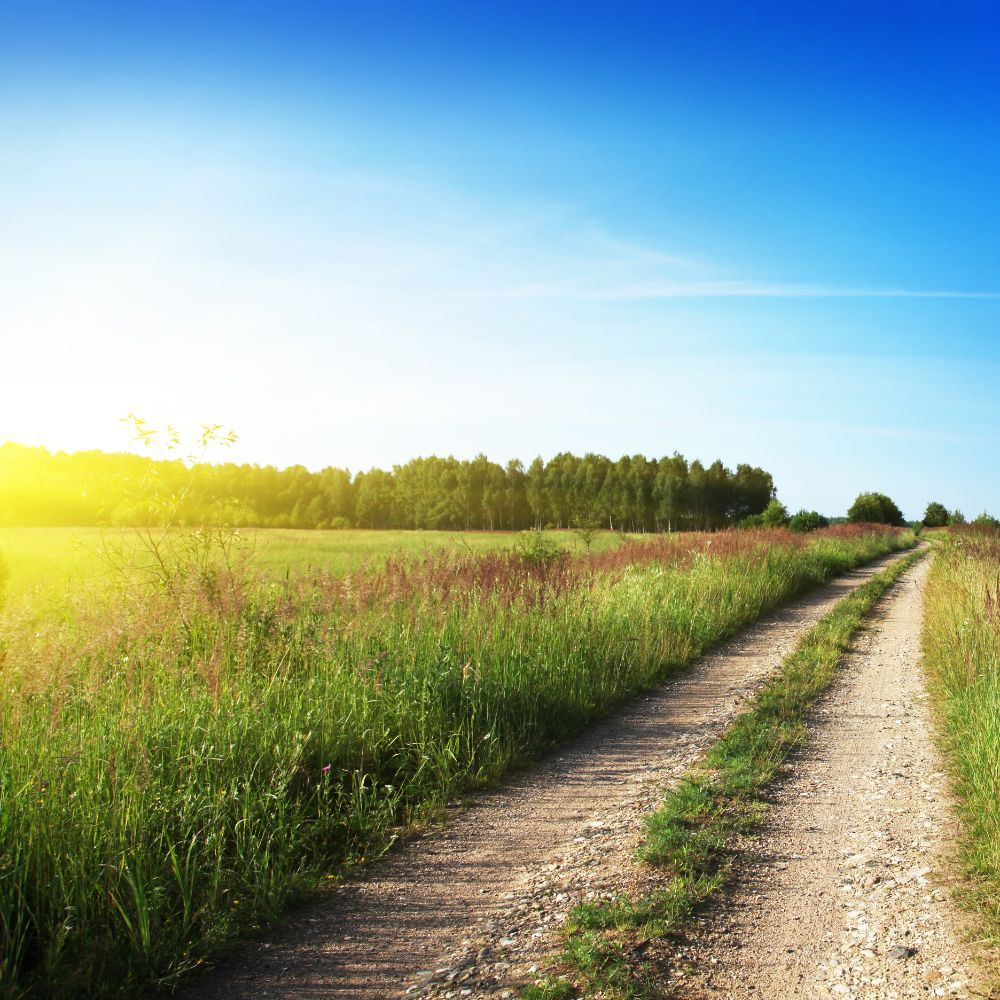 Strada di campagna in mezzo ai prati