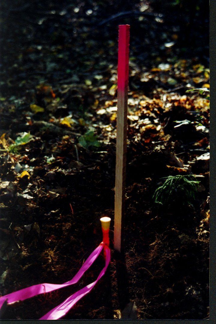 Marking Corners - Cox Surveying in Lewis Run, PA.