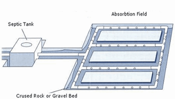 septic system graphic