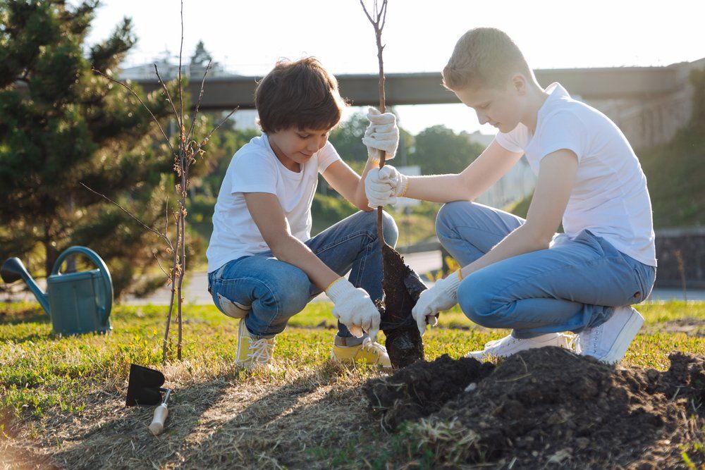 Zwei kleine Jungen pflanzen in einem Park einen Baum.