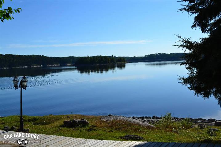 Oak Lake Lodge - a view of the lake