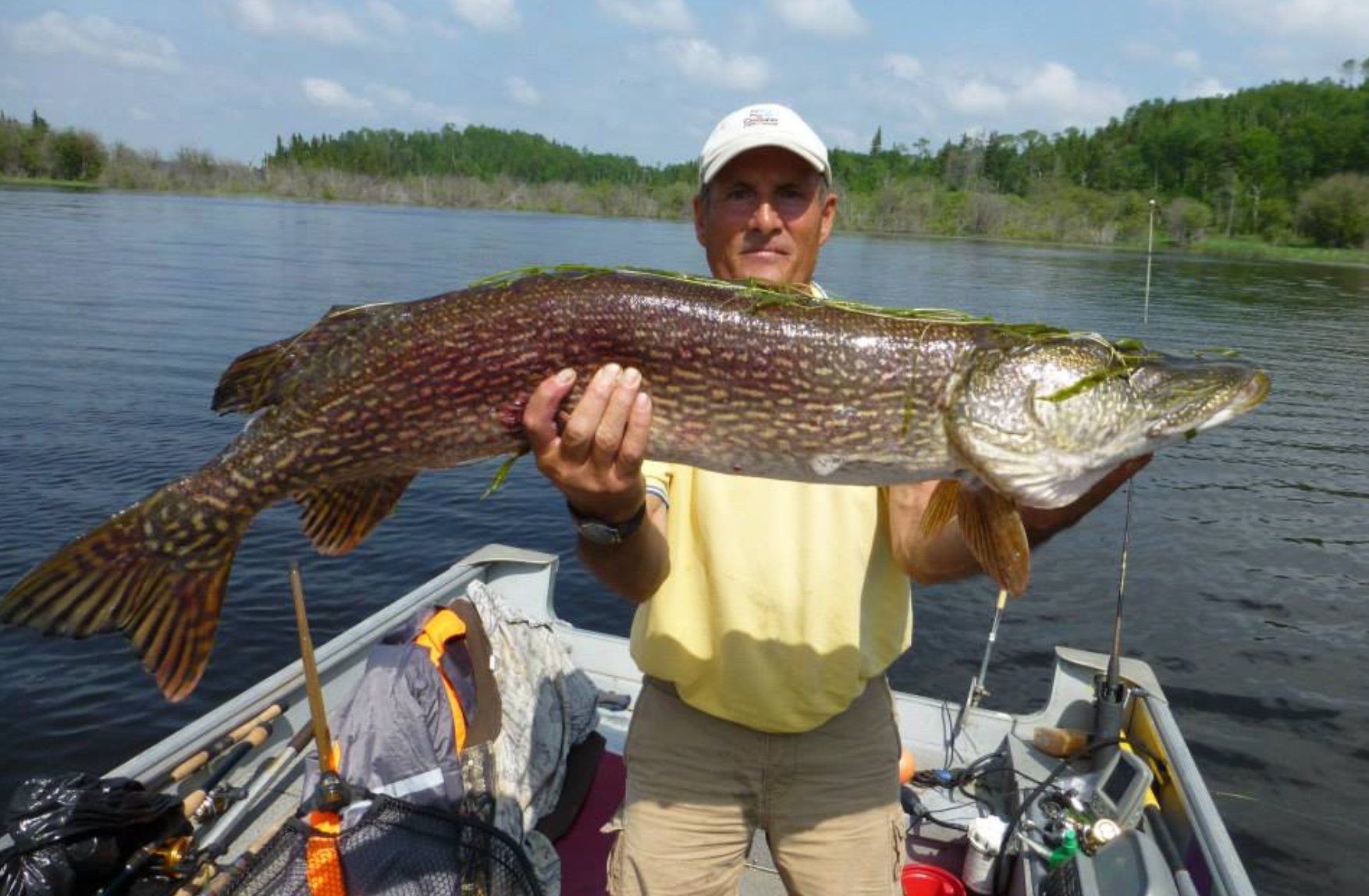 Northern Pike