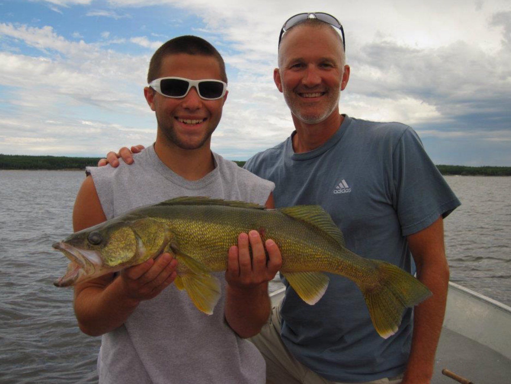 walleye fish