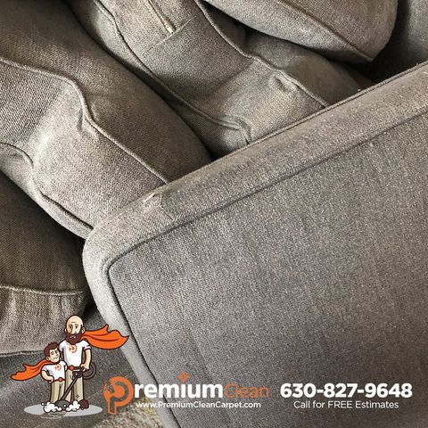 Carpet Cleaning Service in Elgin, IL Carpet Cleaning Service in Elgin, IL