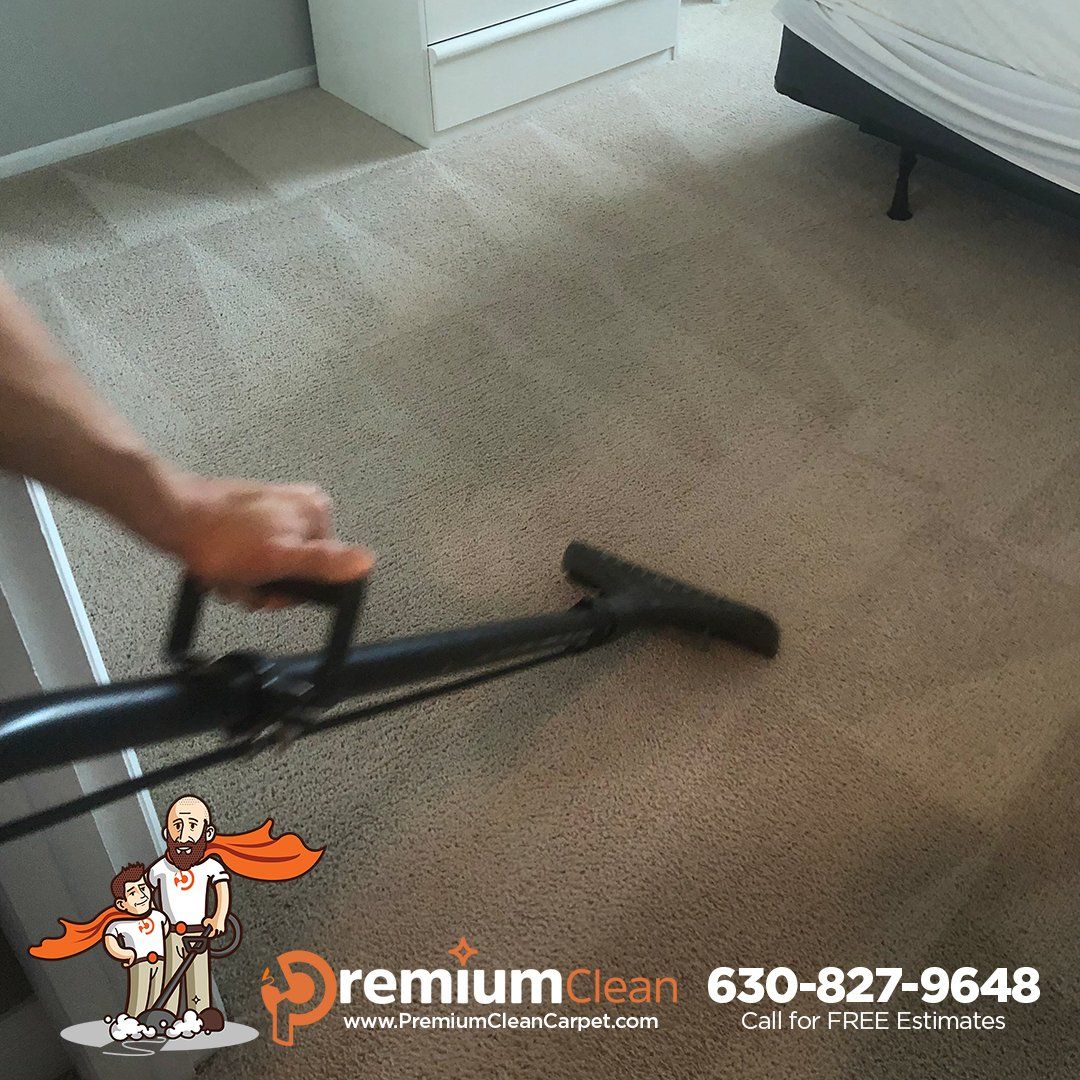 Professional Carpet Cleaners Hines, IL