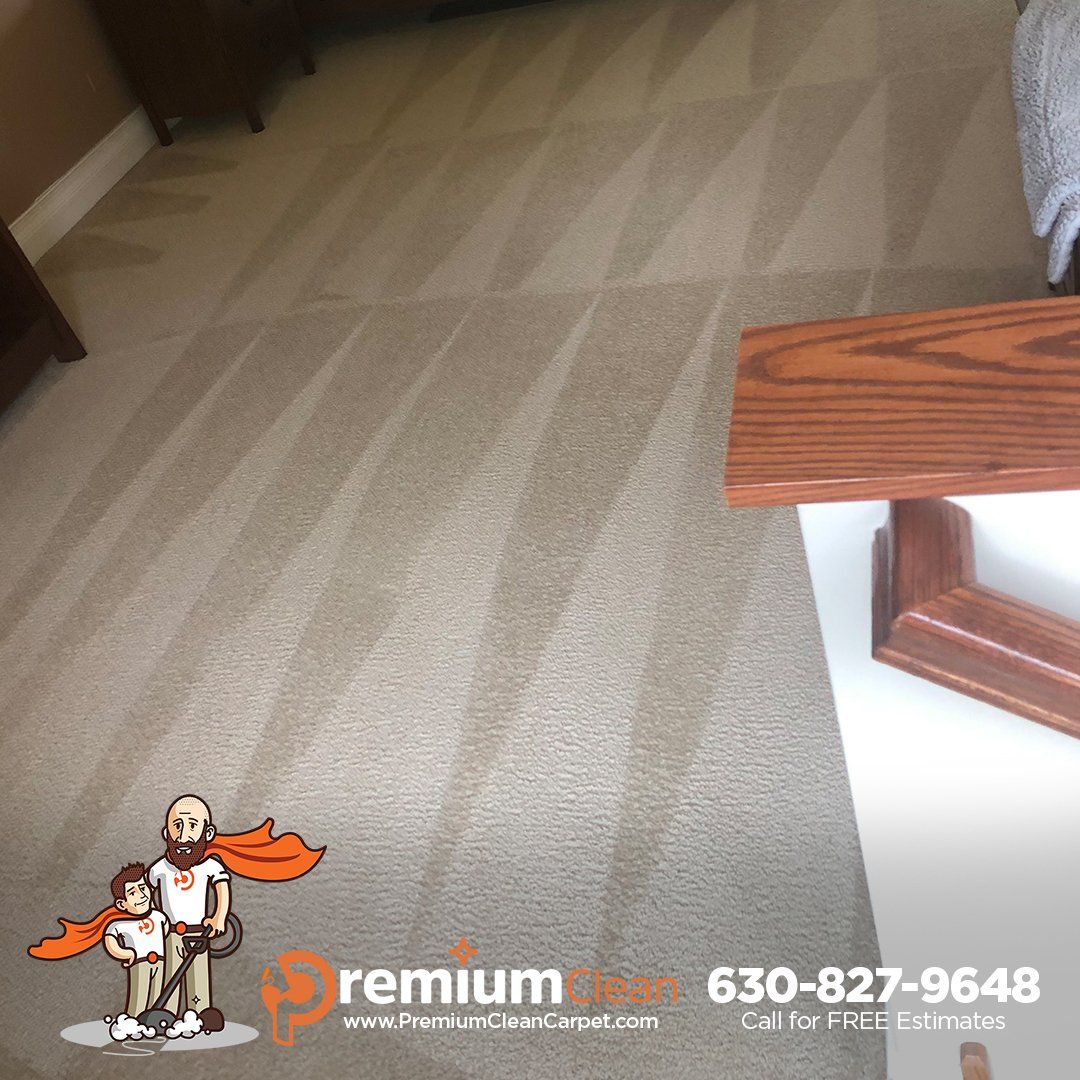 Carpet Cleaning Service in Highwood, IL