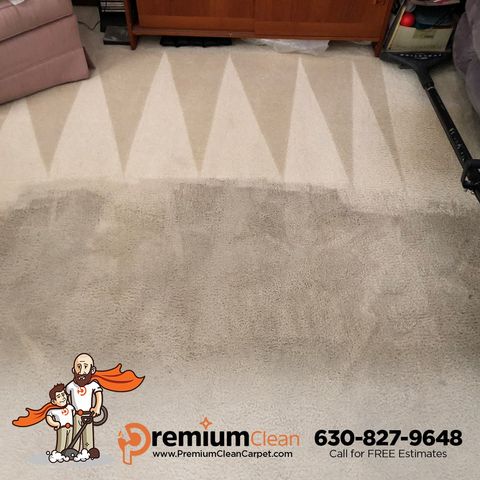 Carpet Cleaning Service in Wauconda, IL Carpet Cleaning Service in Wauconda, IL