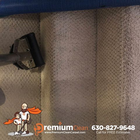 Professional Carpet Cleaners Hines, IL