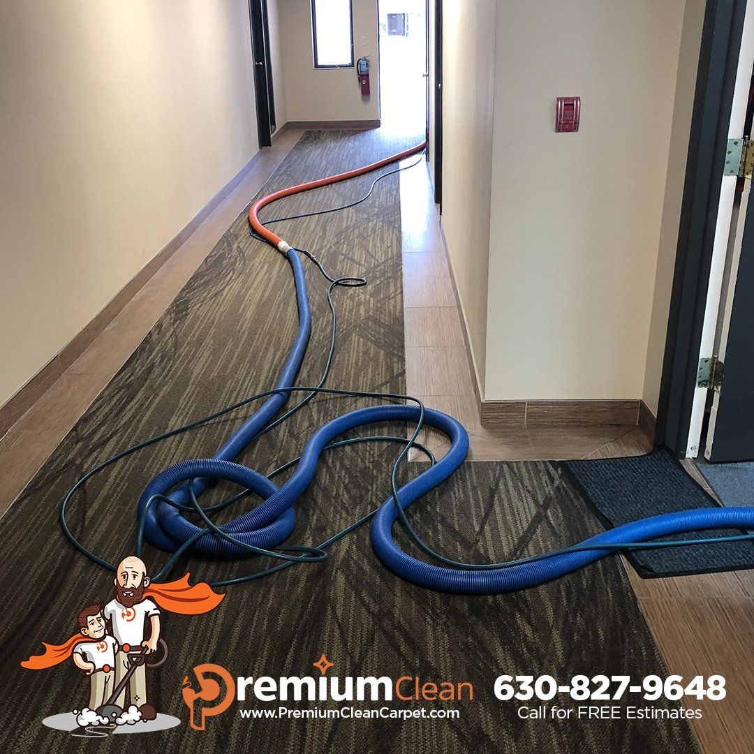 Carpet Cleaning Service in Bartlett, IL