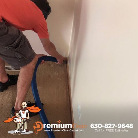 Carpet Cleaning Service in AMF O'hare, IL Carpet Cleaning Service in AMF O'hare, IL