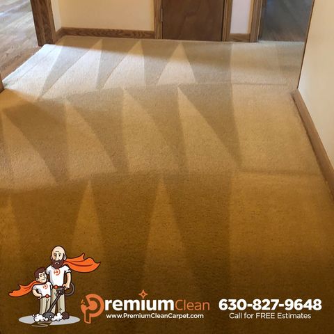Carpet Cleaning Service in Glencoe, IL Carpet Cleaning Service in Glencoe, IL