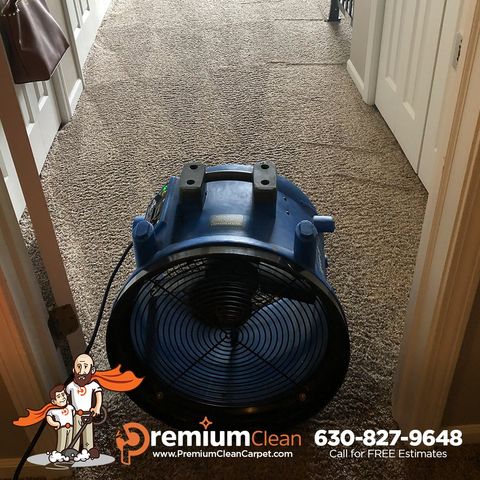 Carpet Cleaning Service in Berkeley, IL Carpet Cleaning Service in Berkeley, IL