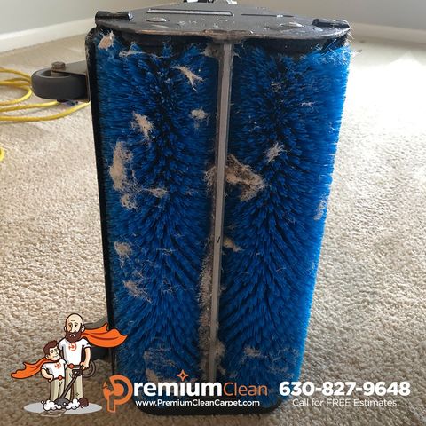 Carpet Cleaning Service in Fox Valley, IL Carpet Cleaning Service in Fox Valley, IL