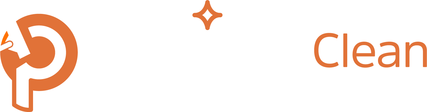 Premium Clean Carpet