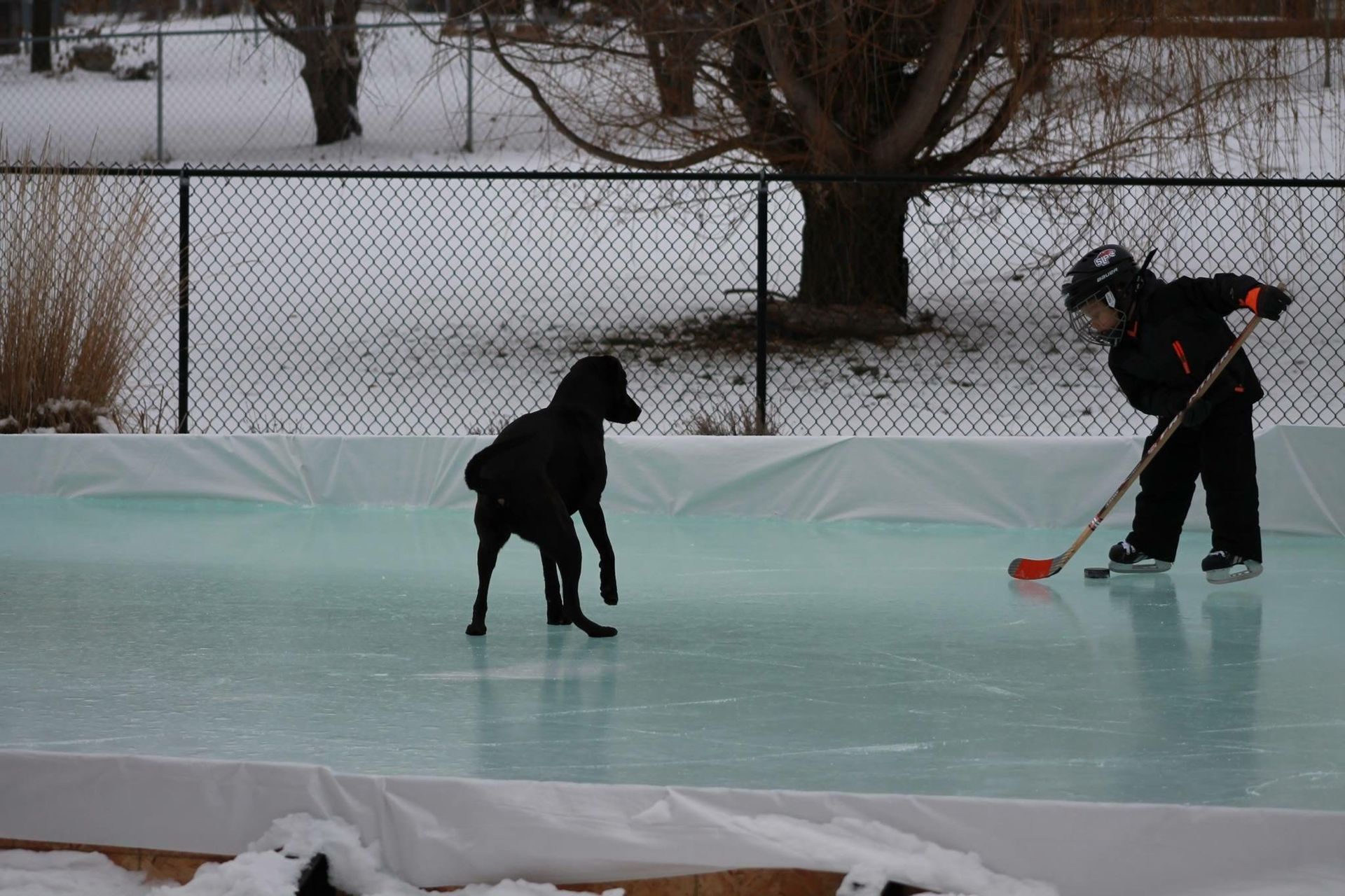 Outdoor Ice Rink 7