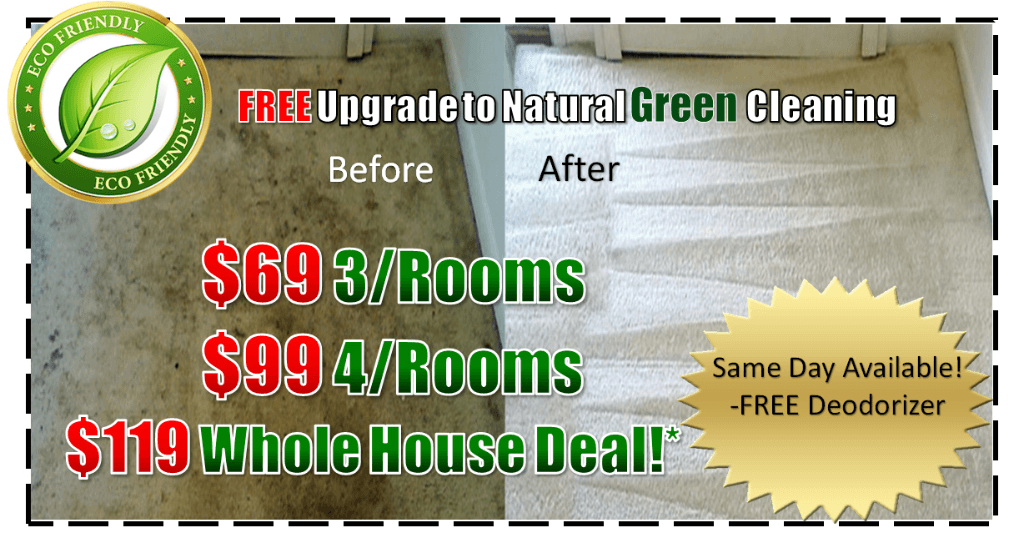 professional steam carpet cleaners, steam carpet cleaning