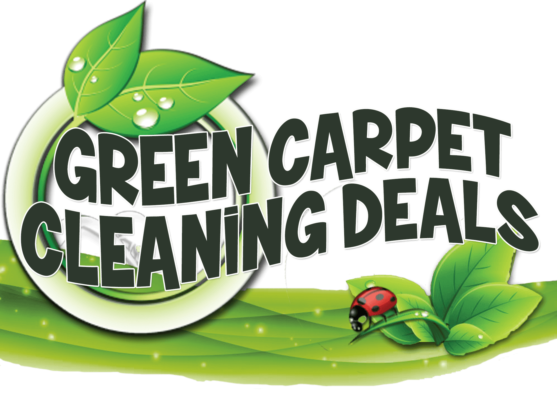 professional carpet cleaning, steam carpet cleaning