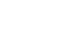 TDMI Logo