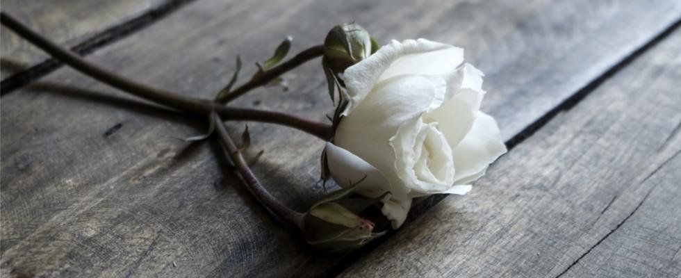 impresa funebre l'antica rosa