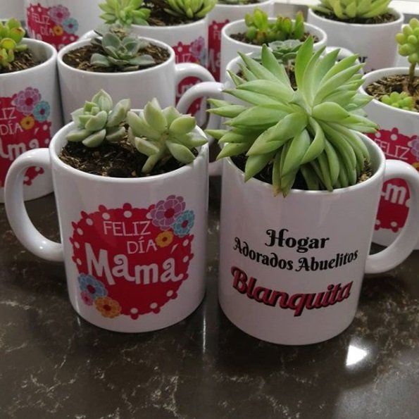 adorados abuelitos