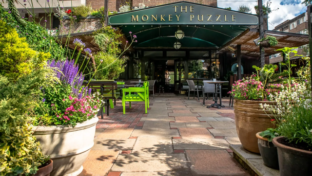 Photo of The Monkey Puzzle, Westminster