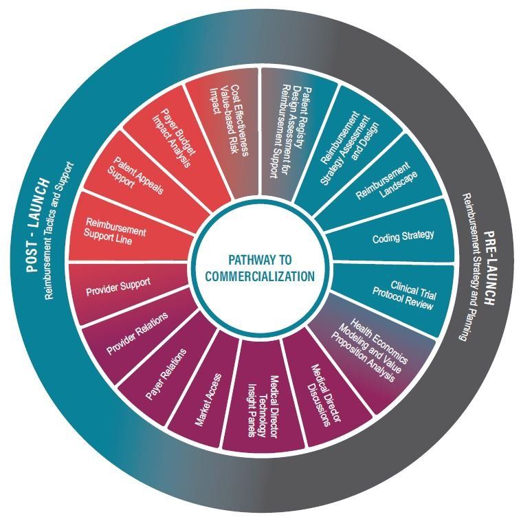 Pathway to Commercialization Flowchart