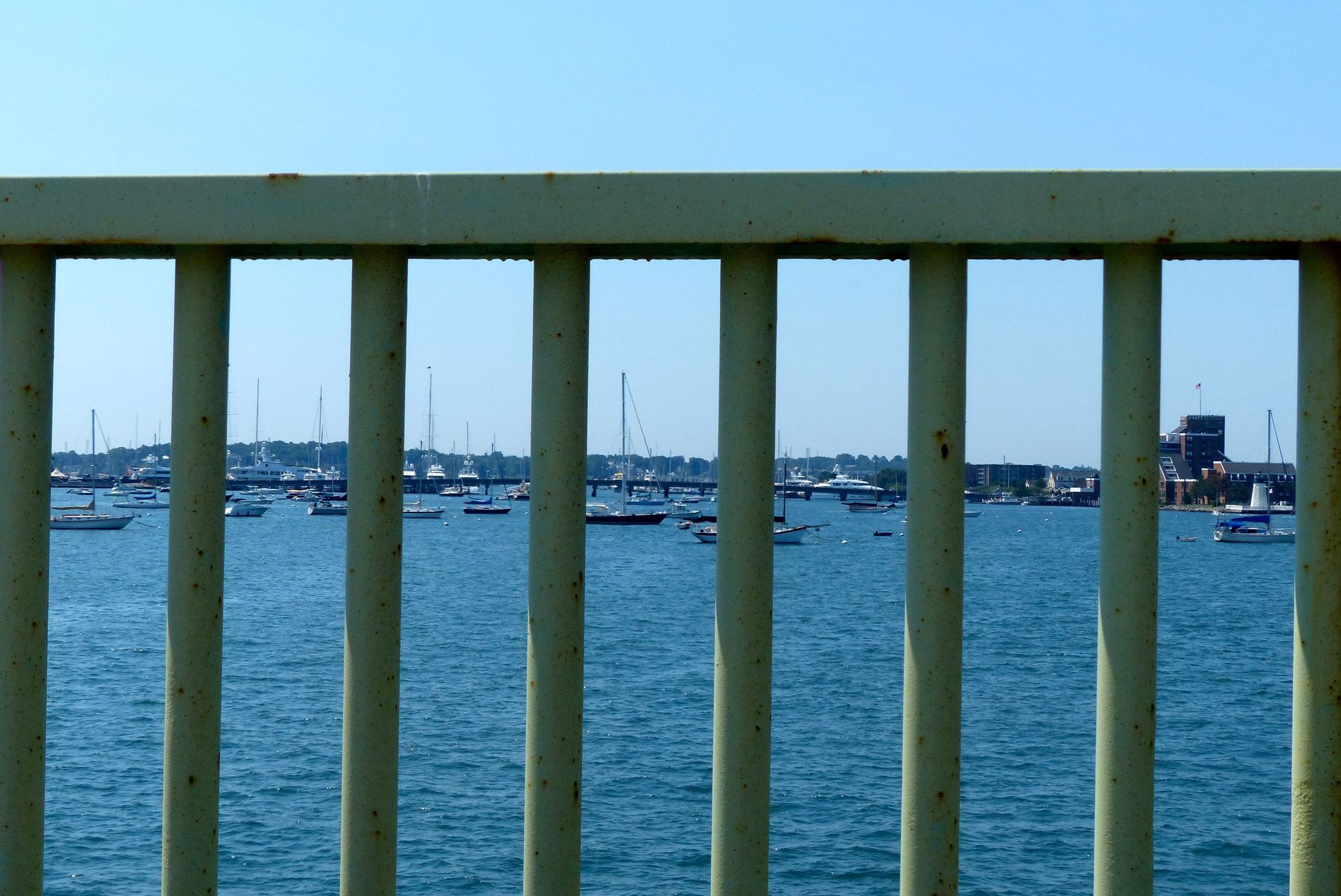 Newport Jazz Festival