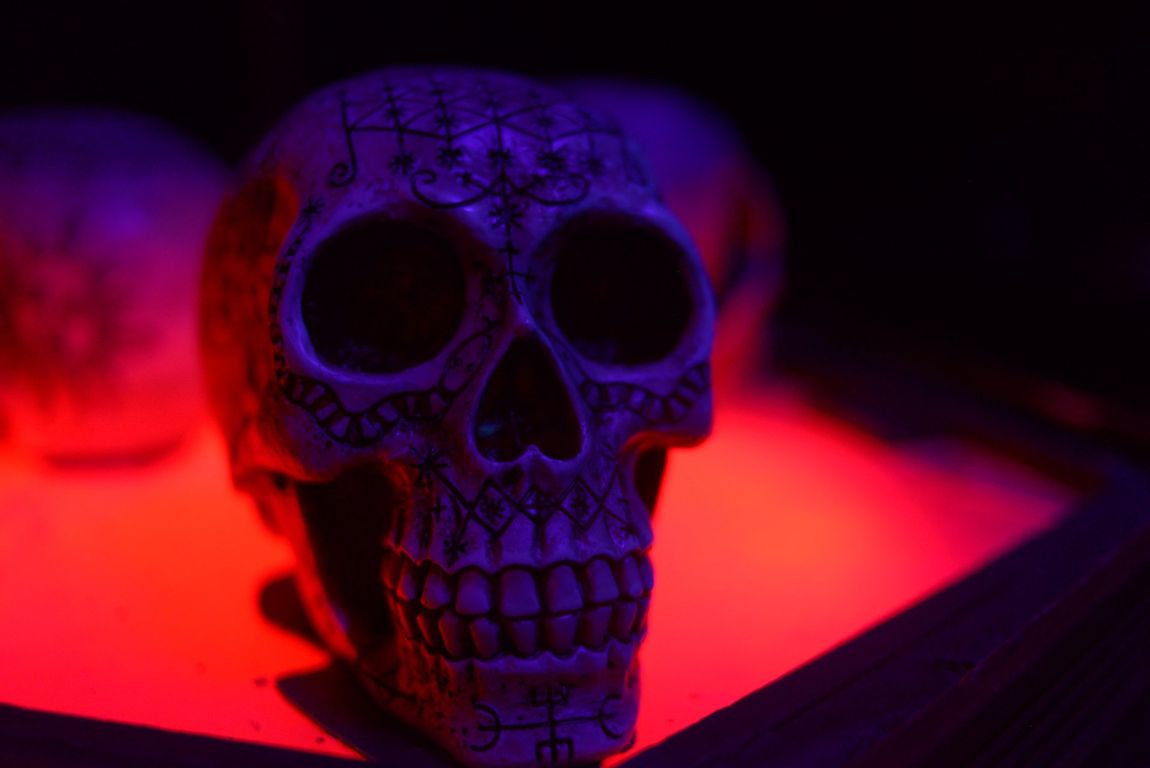 serial killer escape room 'Chamber of Horror' - review