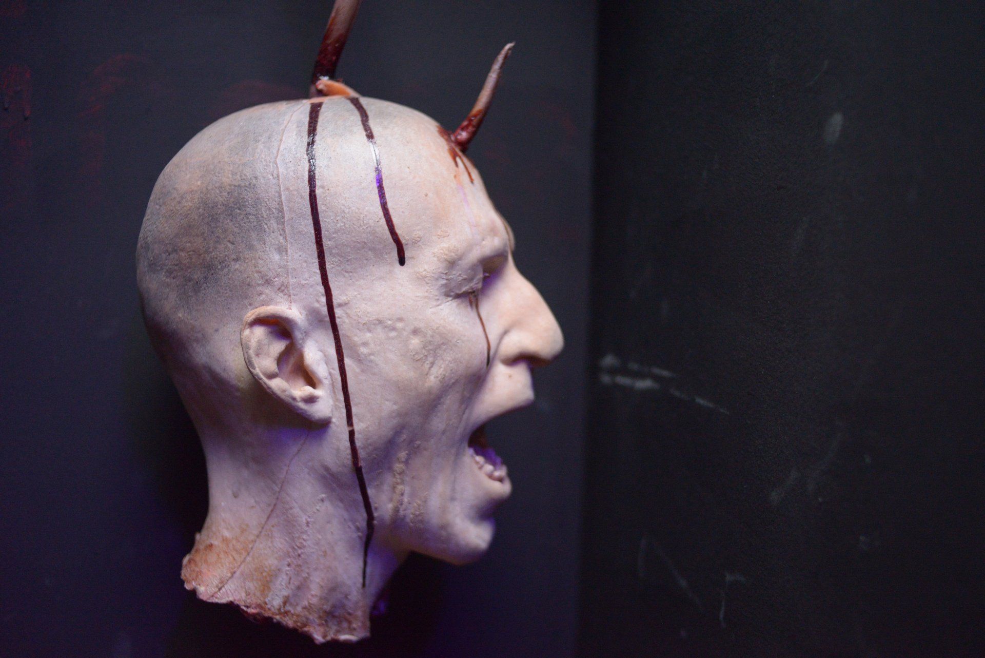 'Talking' head riddle