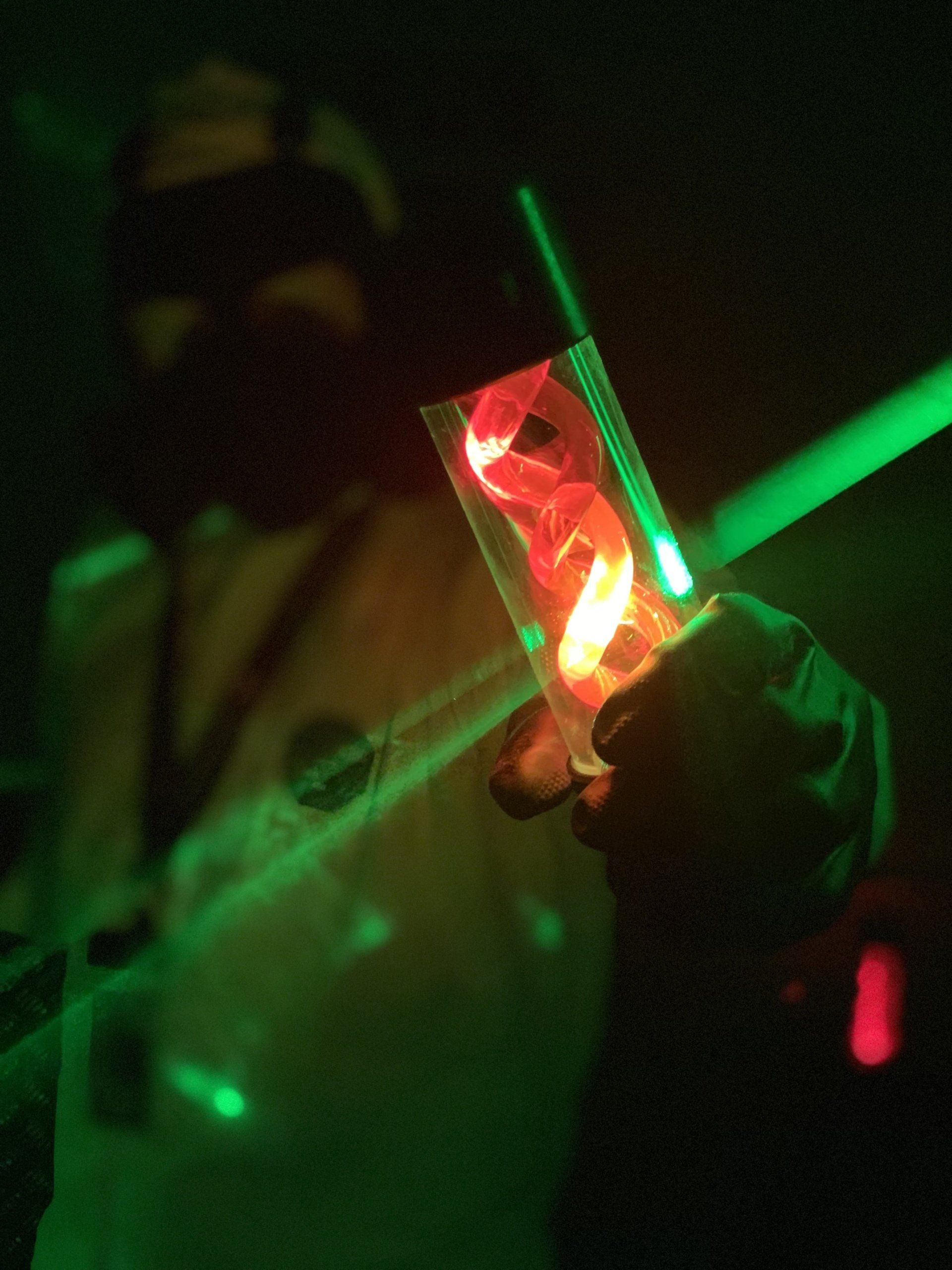 Zombie Escape Room Vaccine Laser Puzzle